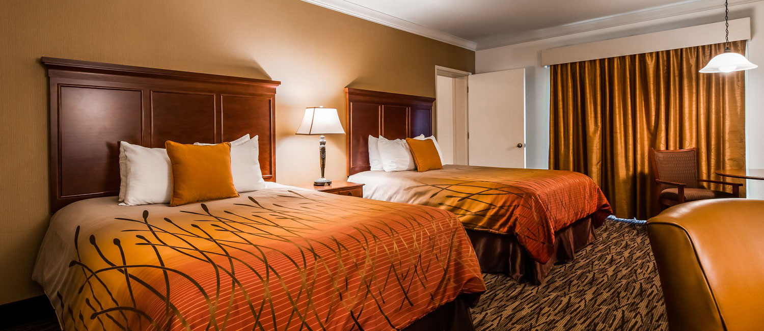 Experience Ultimate Comfort In Our Tranquil Guest Rooms